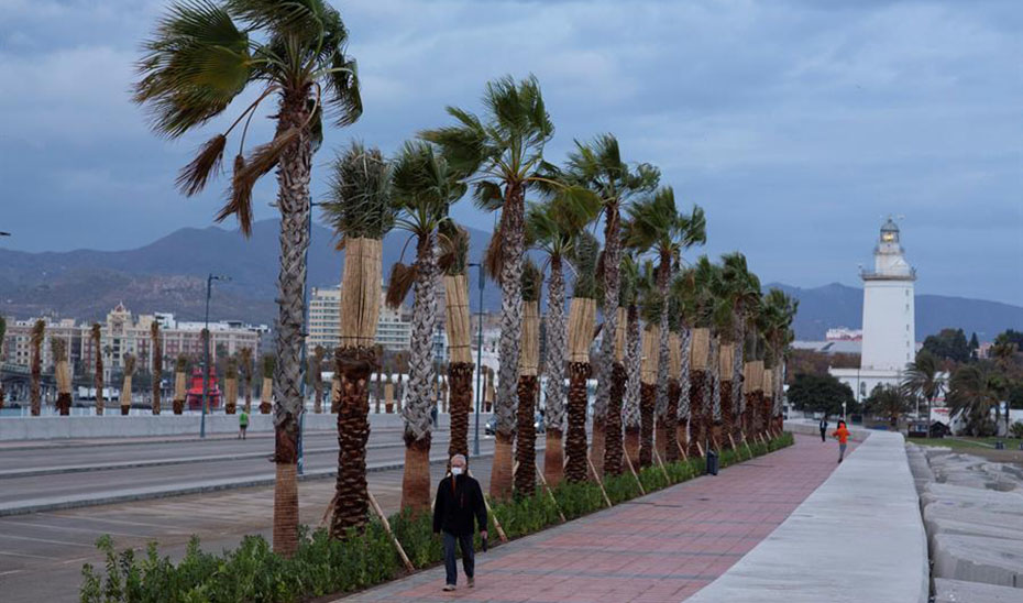 Un hombre camina por el puerto de Málaga en una jornada de viento y lluvia (Agencia EFE).